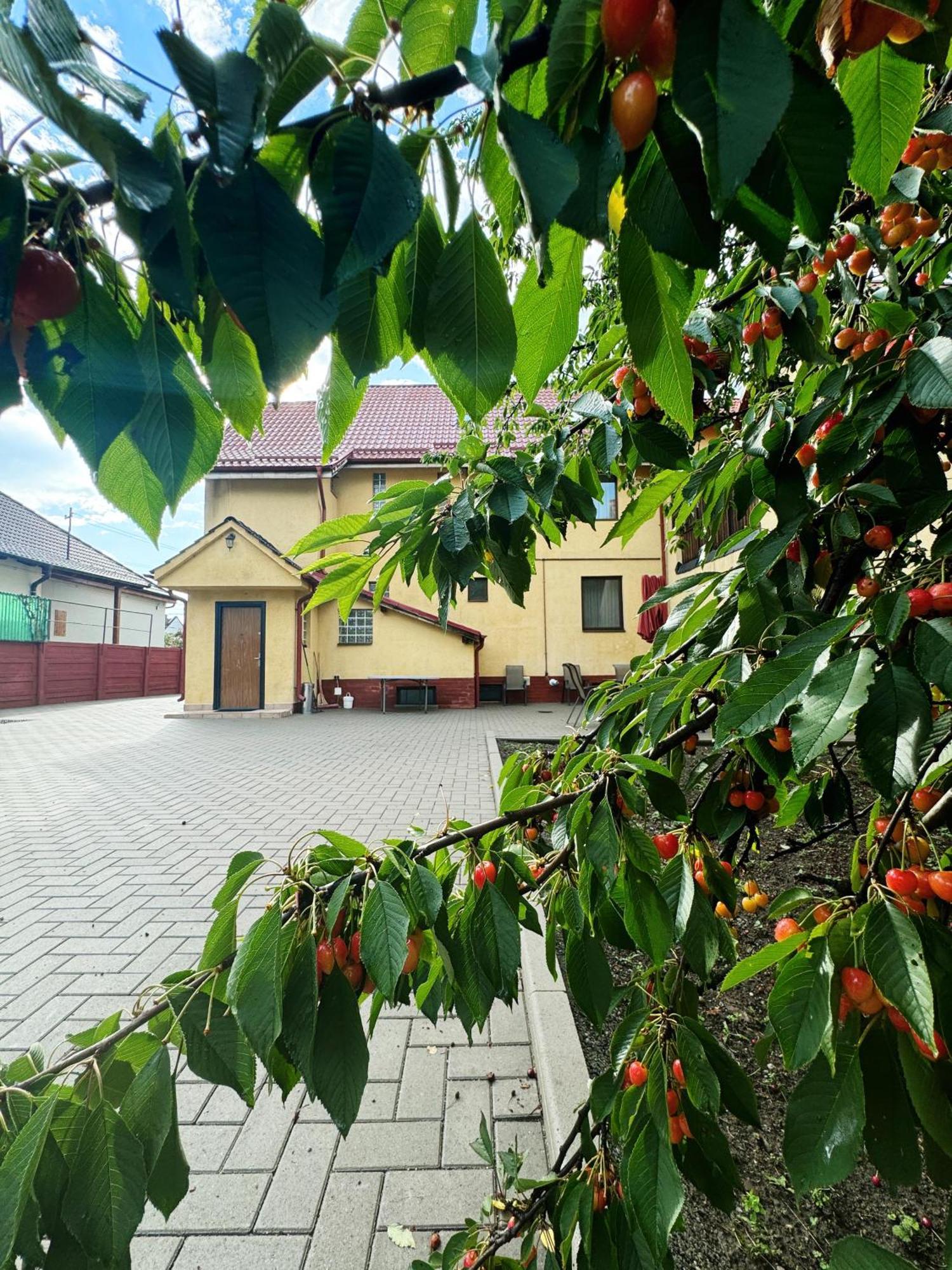 Carpathian Newstar Otel Sibiu Dış mekan fotoğraf
