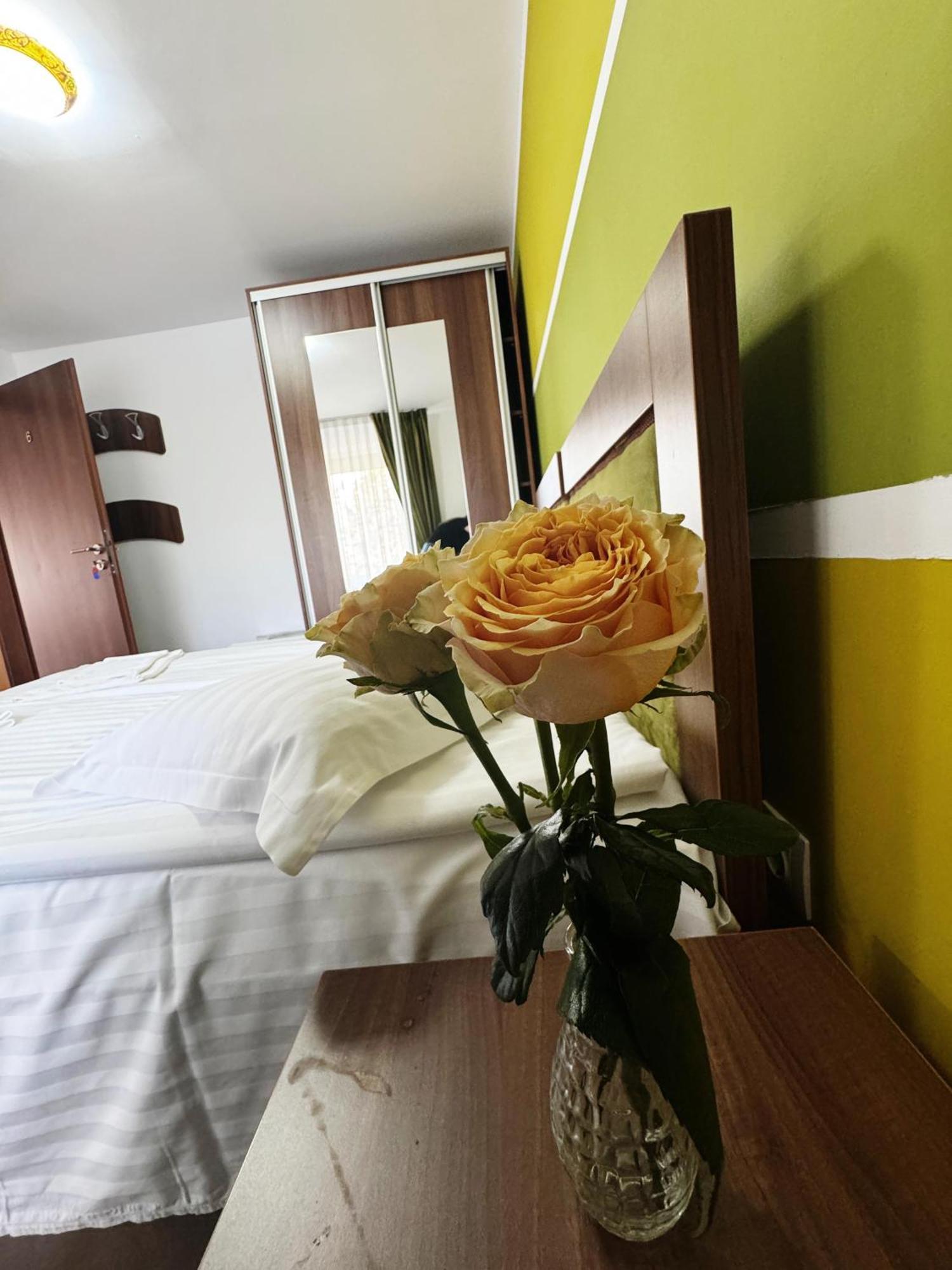 Carpathian Newstar Otel Sibiu Dış mekan fotoğraf